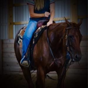 Meet your Posher, Jill